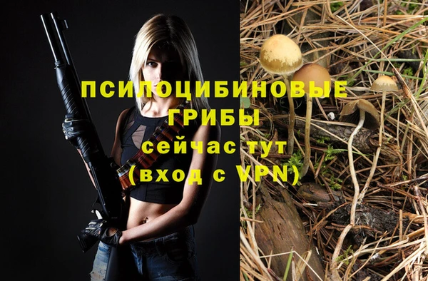 гашиш Горняк