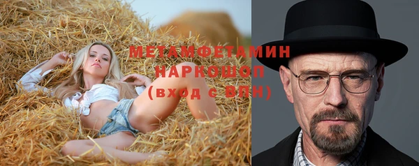 гидра Горно-Алтайск