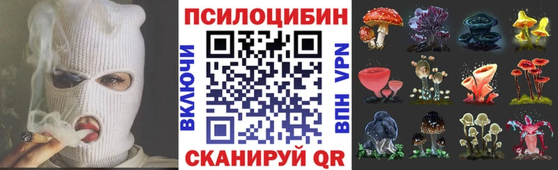 Купить закладки  Наро-Фоминск  Псилоцибиновые грибы мухоморы 